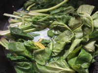 清炒波菜的做法