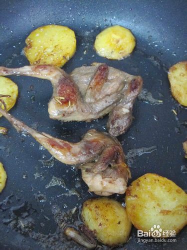 【飞禽走兽】香煎迷迭香鹌鹑