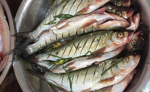 腌好的鱼要不要洗一下晒太阳