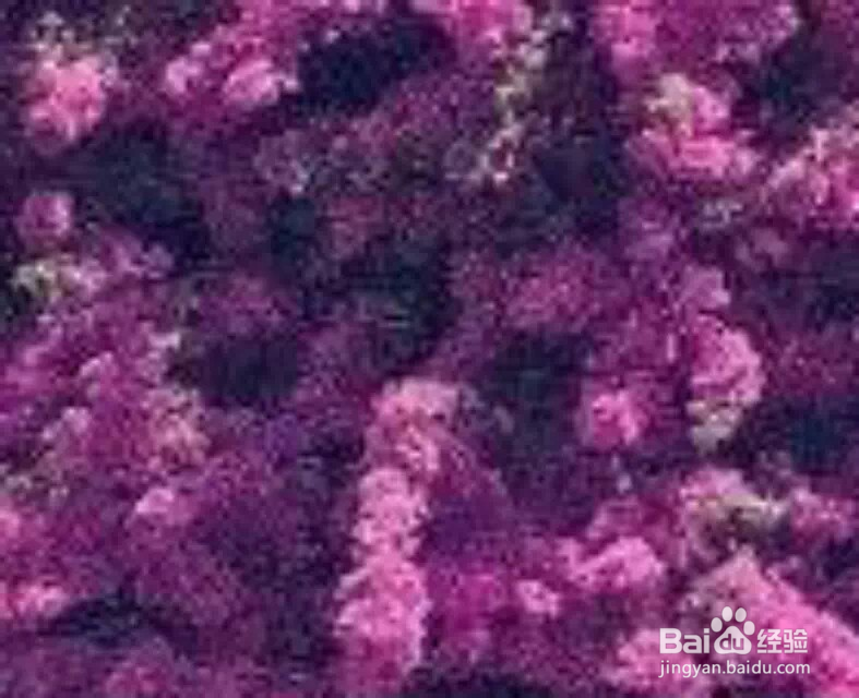应该如何疼爱自己的女朋友