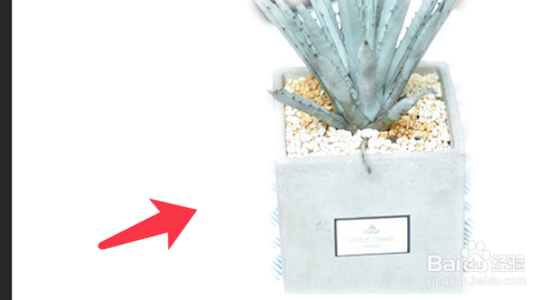 PS如何使用套索工具抠图