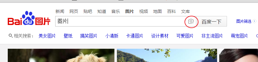 如何找到特定图片？利用百度识图寻找图片