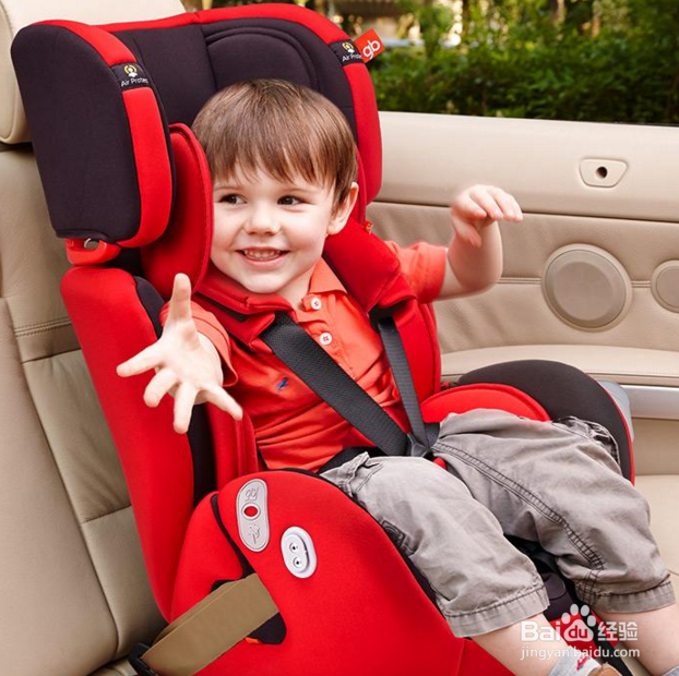 儿童马路安全知识有哪些？