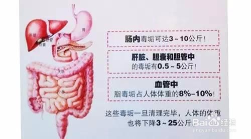 肠道垃圾对身体的危害