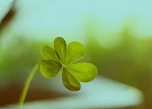 每天做到这几件事，不久以后你就会改变