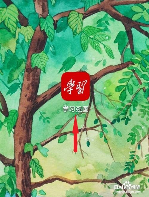 学习强国如何清理缓存