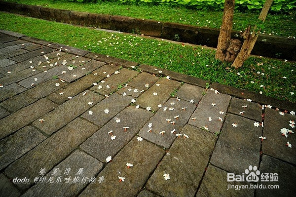 婆罗浮屠,佛光中曾经迷失千年的传奇