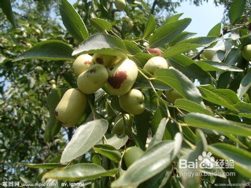 好好爱护你的小心肝