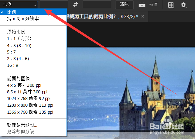 Photoshop怎么调整裁剪工具的裁剪比例?