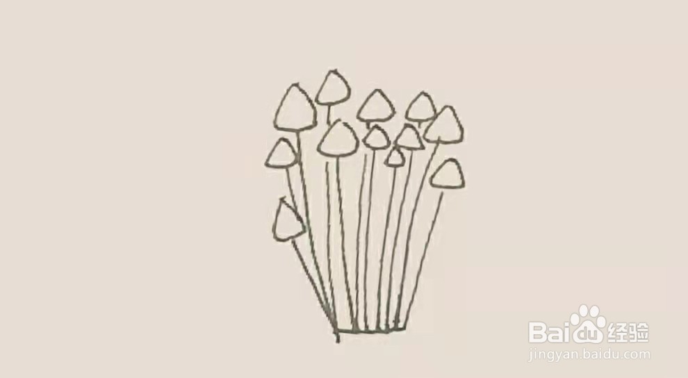 金针菇的画法图片