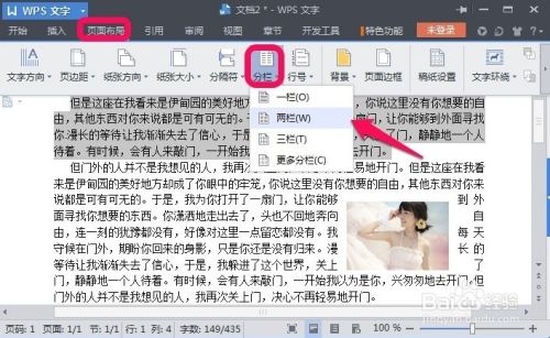 WPS文字怎么进行分栏