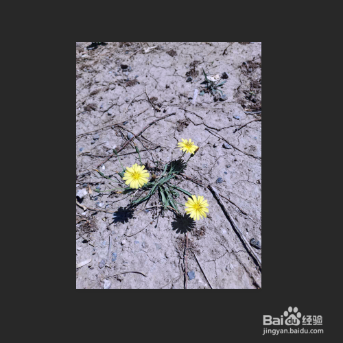 快速调试出高反差的图片