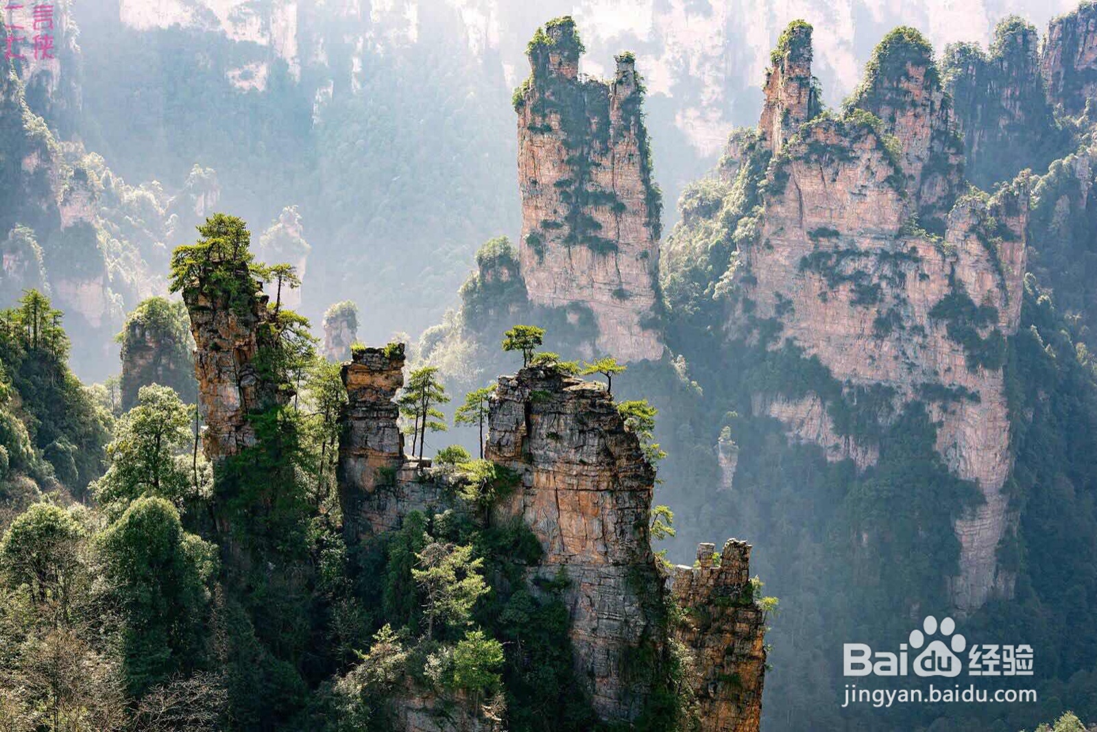 张家界旅游该注意些什么呢？