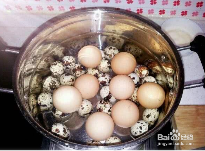 吃两颗大鸡蛋，不如一颗小鹌鹑蛋？它们的差别
