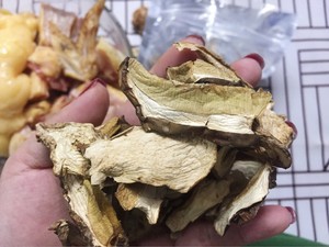 牛肝菌炖鸡的做法