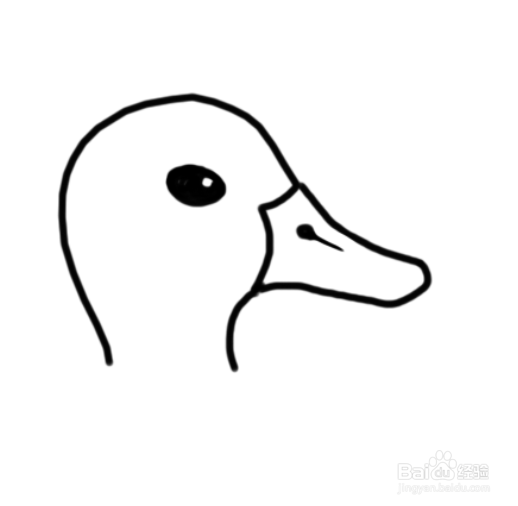 动物简笔画之鸭子的简笔画画法