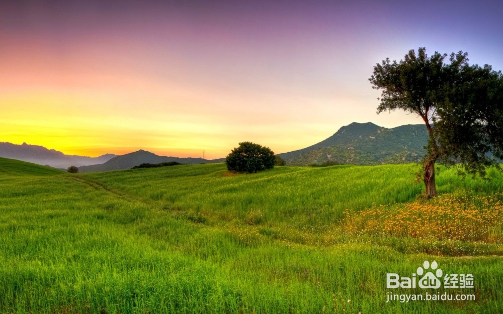 教育培训行业如何做全网营销？