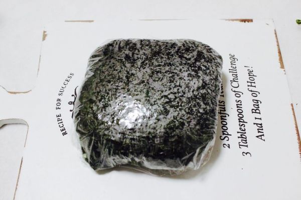 藜麦米饭三明治