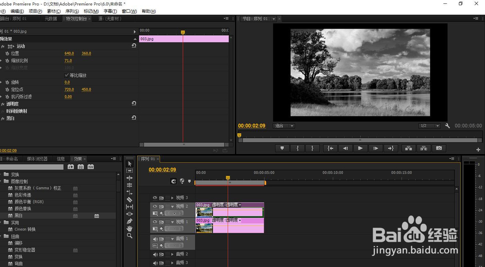 pr里怎么把图片变成黑白