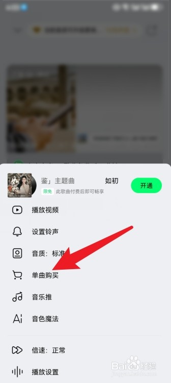 QQ音乐怎么只买单曲不充会员