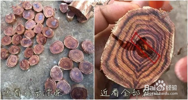 您知道如何买海南黄花梨原材料吗?