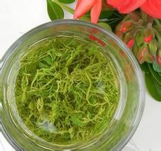 降脂减肥的方法—五个方面全面调节