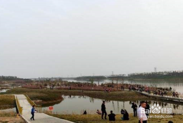 焦作周边风景名胜有哪些