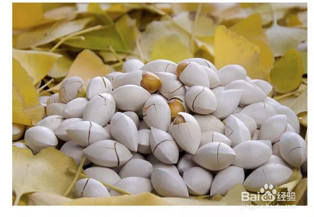 治头晕有哪些妙招？