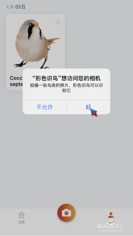 怎么使用手机拍照识别鸟类名称