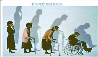 让你增强免疫力的几种食物：[1]