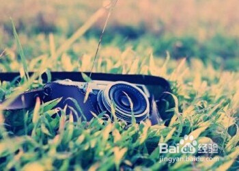 一个人旅游如何拍照