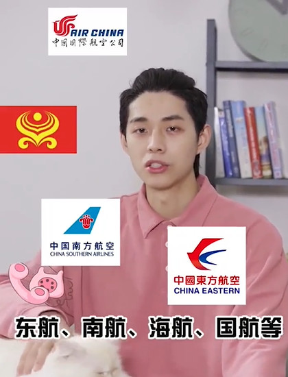 如何正确空运一只猫