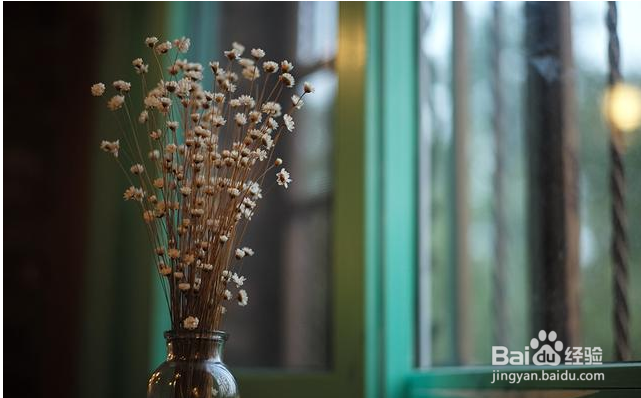 snapseed怎样处理照片