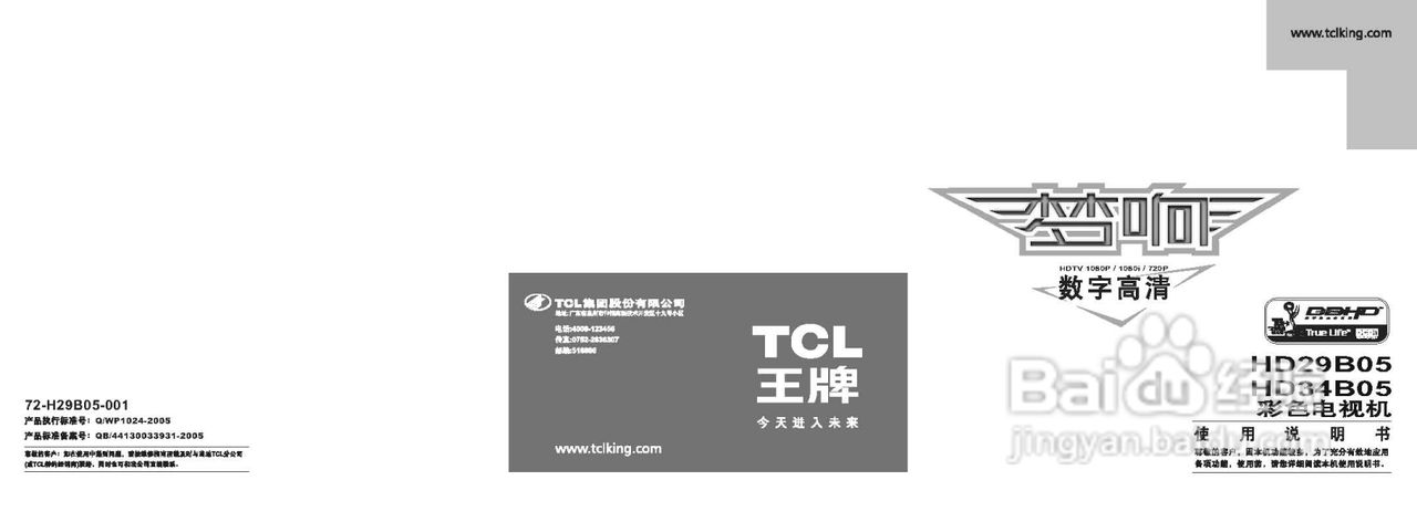 TCL王牌HD29B05彩电使用说明书