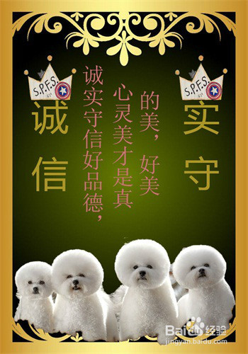 如何快速的学好Photoshop（ps）？