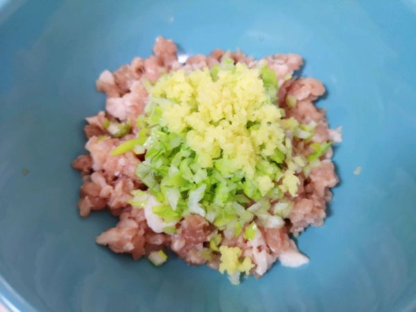 茴香大肉馅春卷