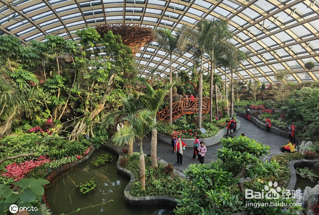 太原植物园2021一日游攻略