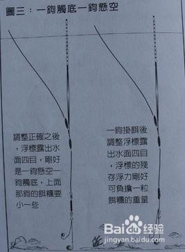 夏季库钓鲫鱼如何调漂