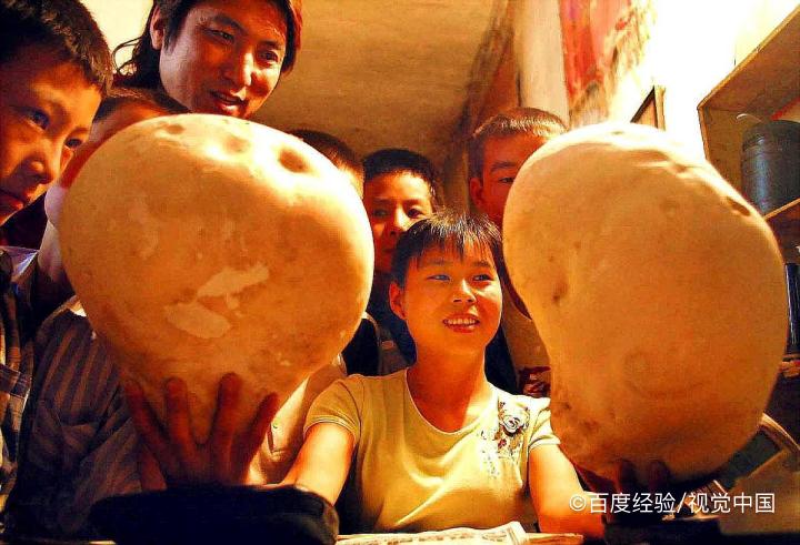 孕妇吃青头菇的好处