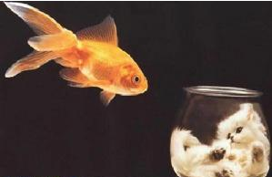 改善个人人际交往的方法