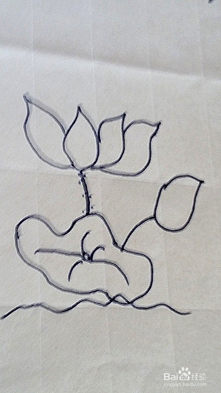 简笔画-----荷花的画法