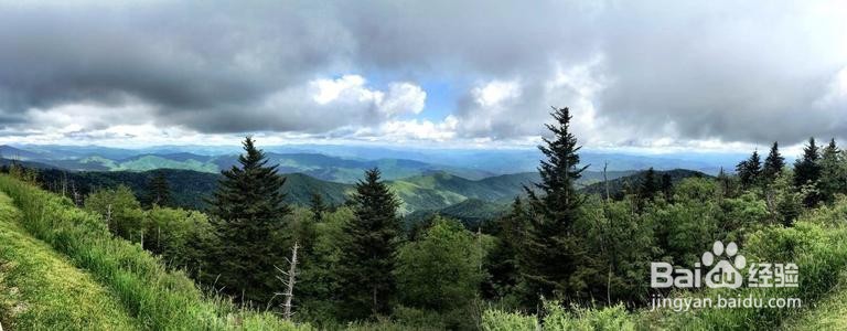 芝加哥如何去大雾山