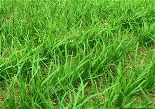 哪些食物一定不能共食（那些你不知道的秘密五）