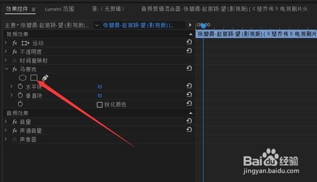 pr里面加局部马赛克