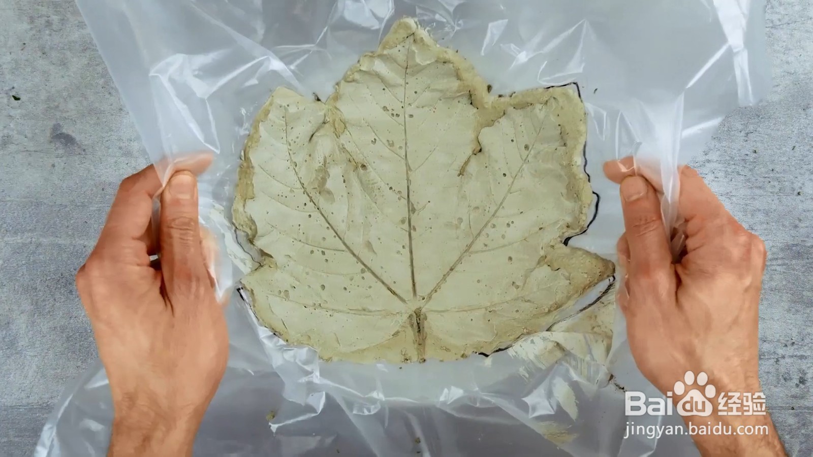 如何用树叶制作一个石头碗