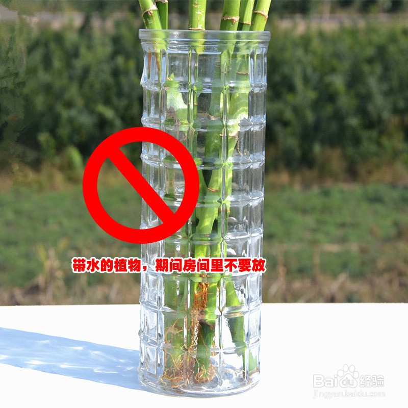 孕妇房间有蚊子如何驱蚊