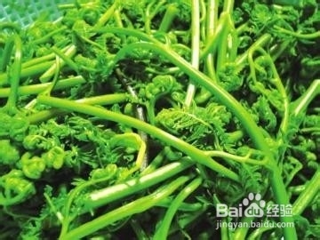 <b>清肠安神蕨菜吃货们的食谱</b>