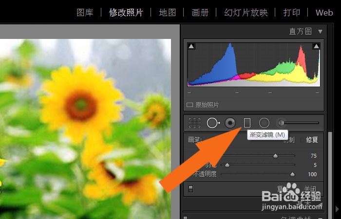 Lightroom软件中如何使用渐变滤镜