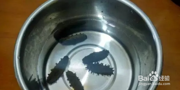 海参如何处理