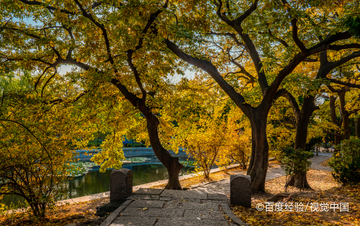 青岛市有什么好玩的景点